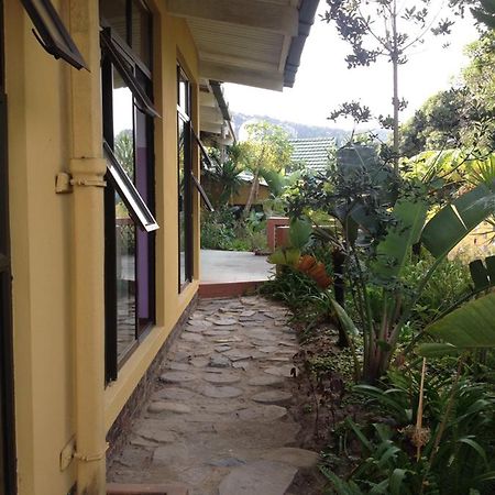 A Pousada Jungle Monkey Backpackers Port Saint Johnʼs Exterior foto