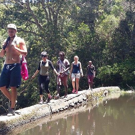 A Pousada Jungle Monkey Backpackers Port Saint Johnʼs Exterior foto