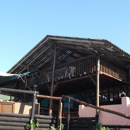 A Pousada Jungle Monkey Backpackers Port Saint Johnʼs Exterior foto
