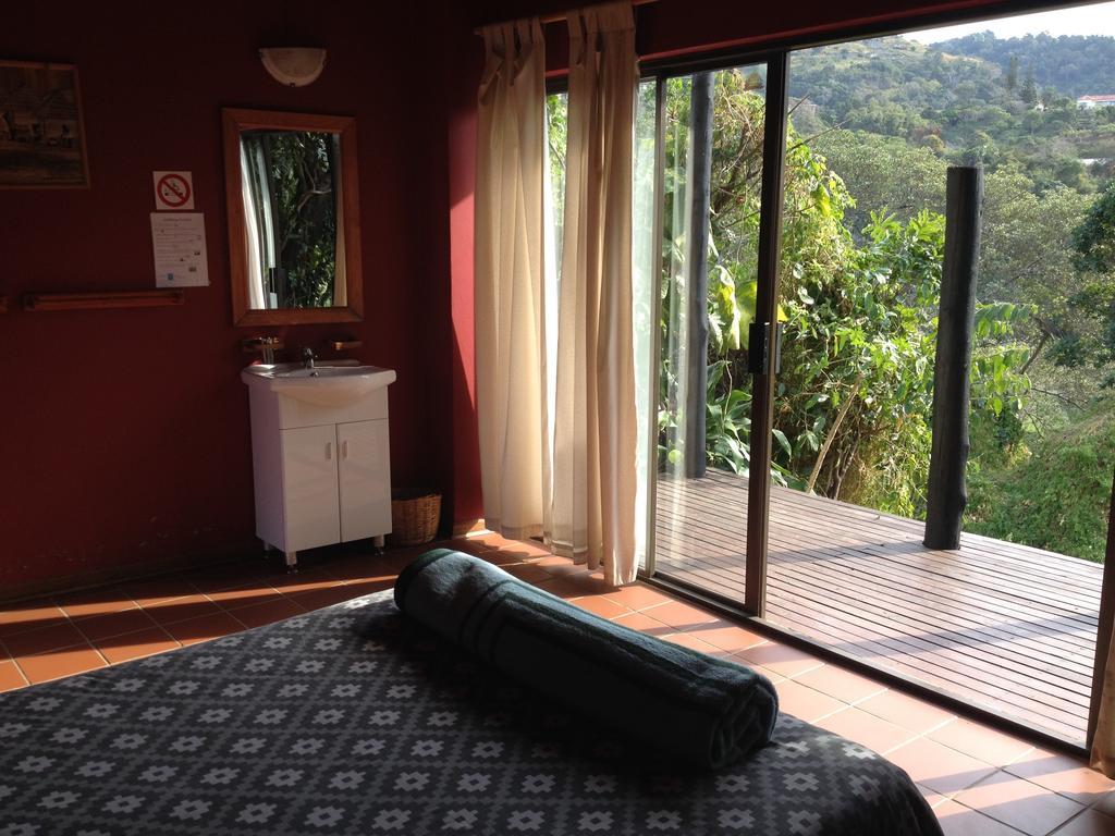 A Pousada Jungle Monkey Backpackers Port Saint Johnʼs Quarto foto
