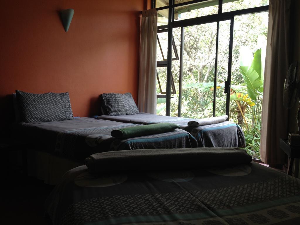 A Pousada Jungle Monkey Backpackers Port Saint Johnʼs Quarto foto