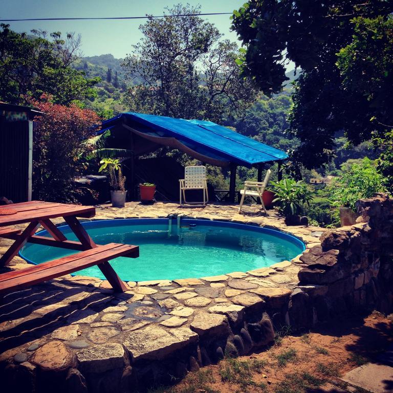 A Pousada Jungle Monkey Backpackers Port Saint Johnʼs Quarto foto