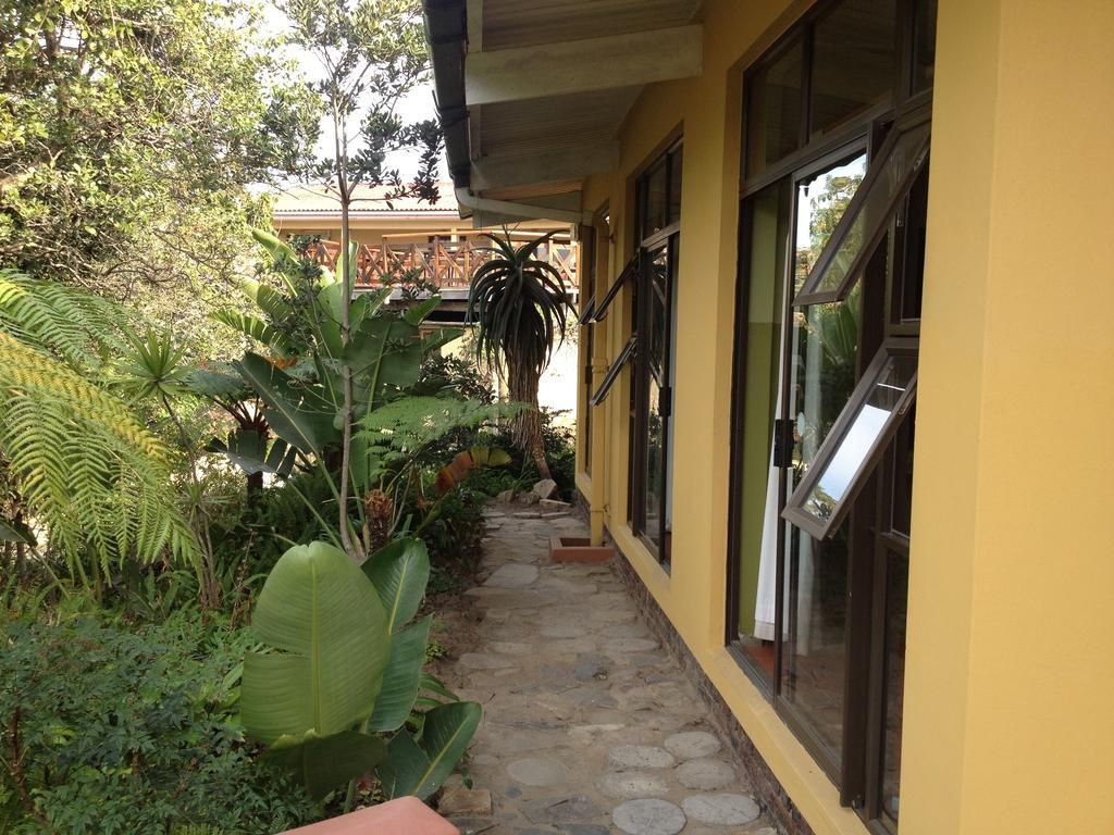 A Pousada Jungle Monkey Backpackers Port Saint Johnʼs Quarto foto