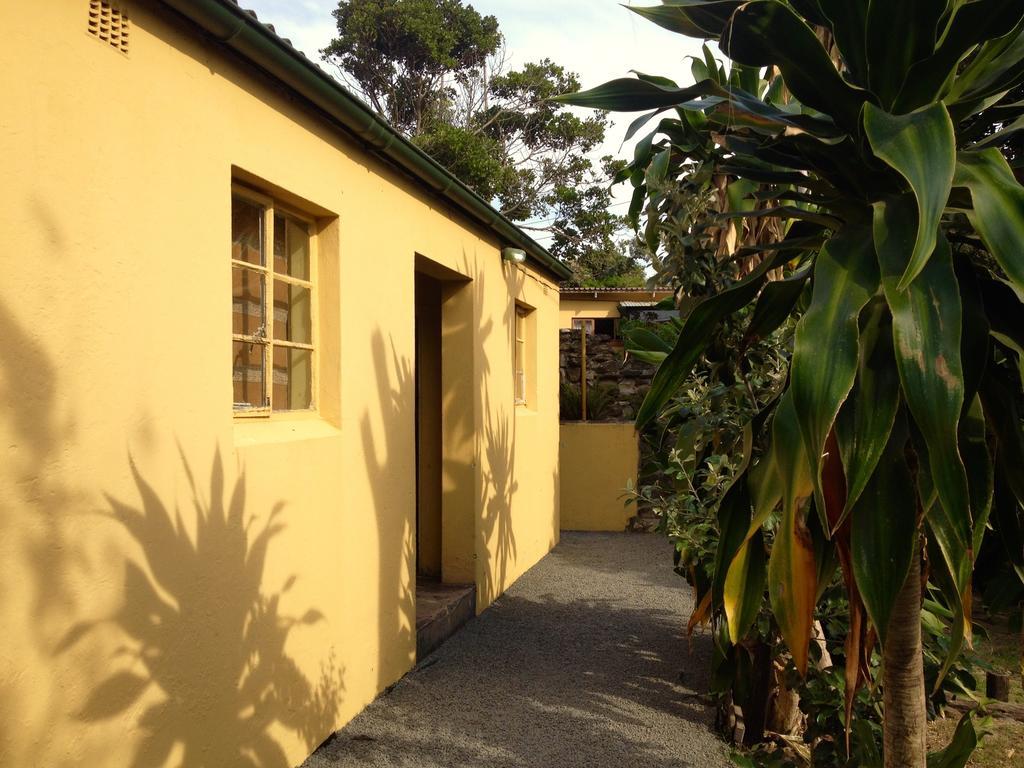 A Pousada Jungle Monkey Backpackers Port Saint Johnʼs Quarto foto