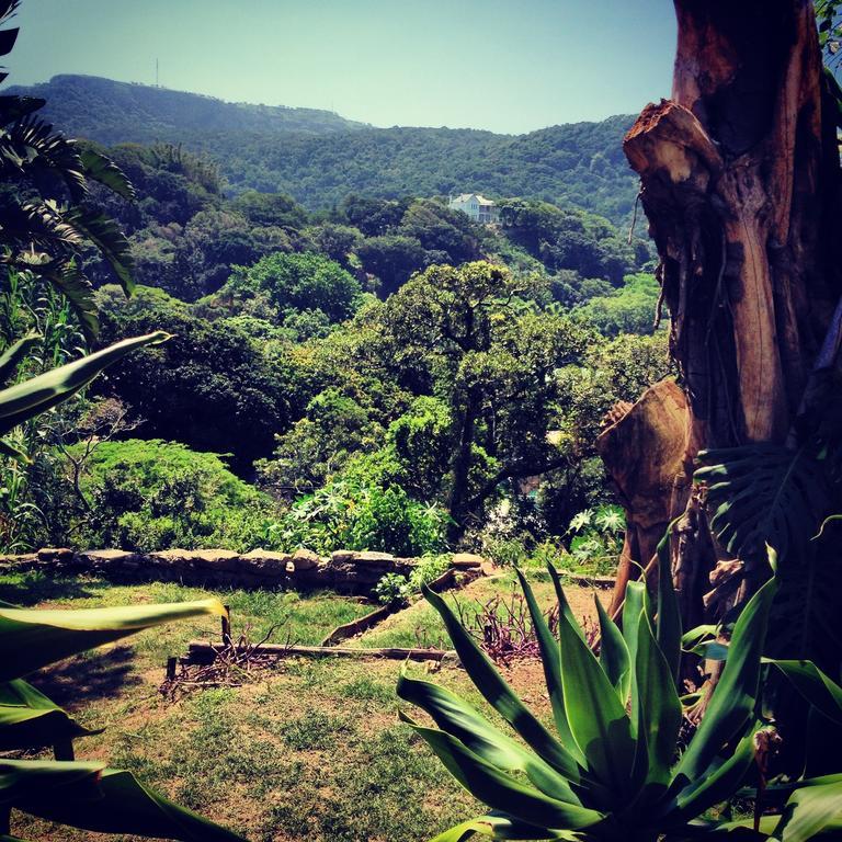 A Pousada Jungle Monkey Backpackers Port Saint Johnʼs Exterior foto