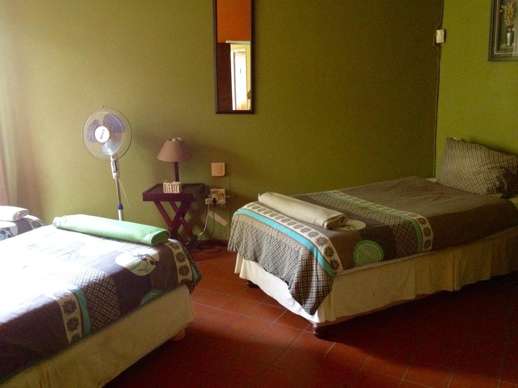 A Pousada Jungle Monkey Backpackers Port Saint Johnʼs Quarto foto