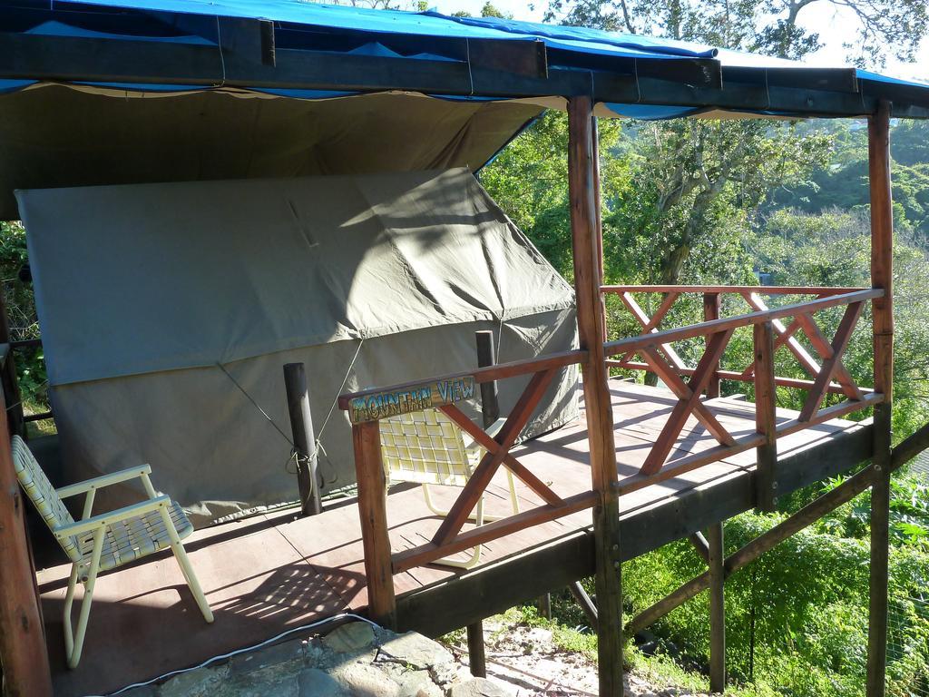 A Pousada Jungle Monkey Backpackers Port Saint Johnʼs Quarto foto