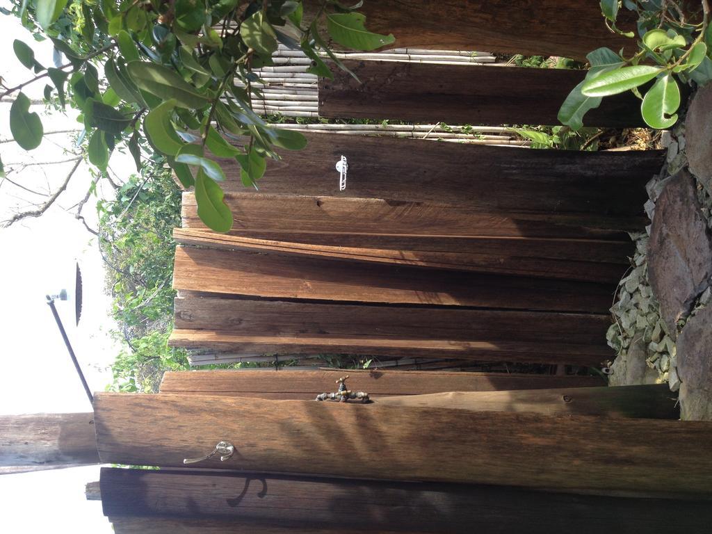 A Pousada Jungle Monkey Backpackers Port Saint Johnʼs Quarto foto