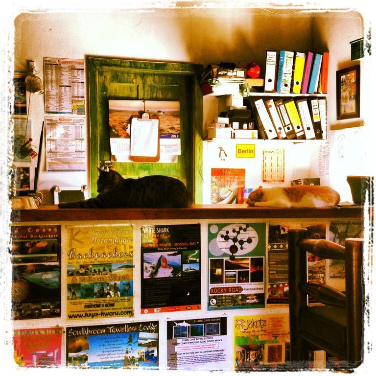 A Pousada Jungle Monkey Backpackers Port Saint Johnʼs Exterior foto