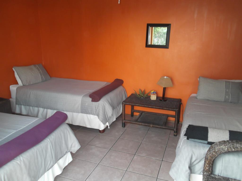 A Pousada Jungle Monkey Backpackers Port Saint Johnʼs Exterior foto